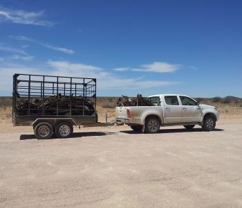 Hyr biltrailers smidigt